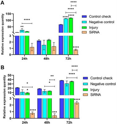 Function of Vitellogenin receptor gene in reproductive regulation of Zeugodacus cucurbitae (Coquillett) after short-term high-temperature treatment